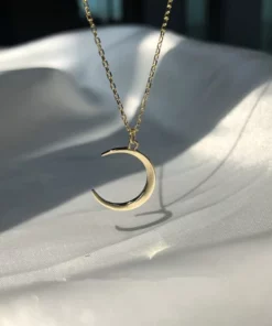 Gold & Silver Crescent Moon Necklace