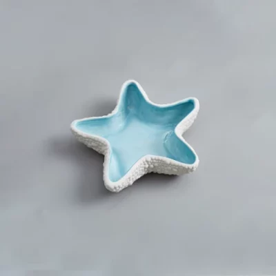 Multi-Use Ceramic Starfish Bowl