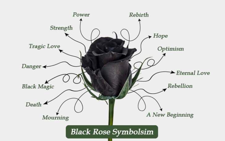 Black Roses