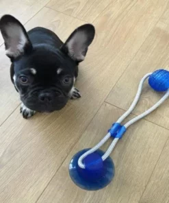 Dog Suction Cup Toy