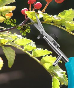 Portable Pointed Gardening Scissor