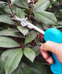 Portable Pointed Gardening Scissor