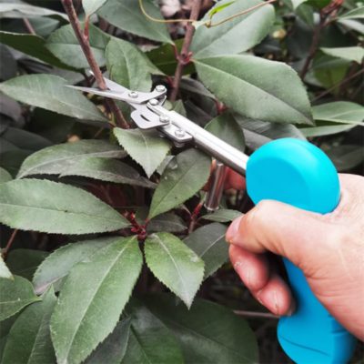 Portable Pointed Gardening Scissor