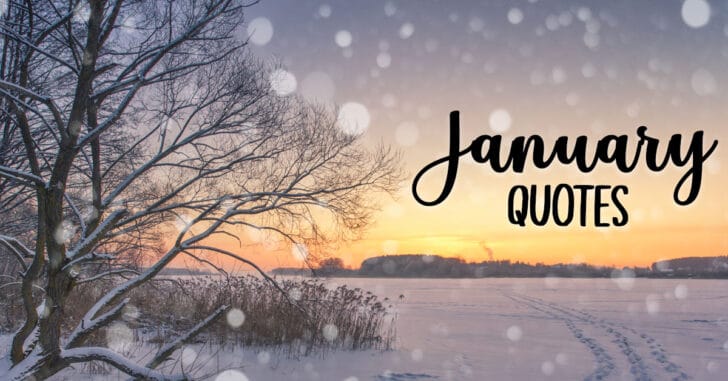 January Quotes