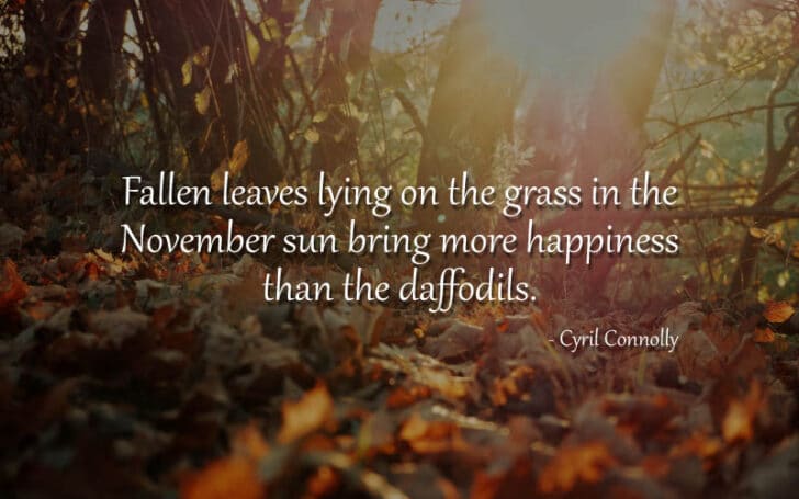 November Quotes