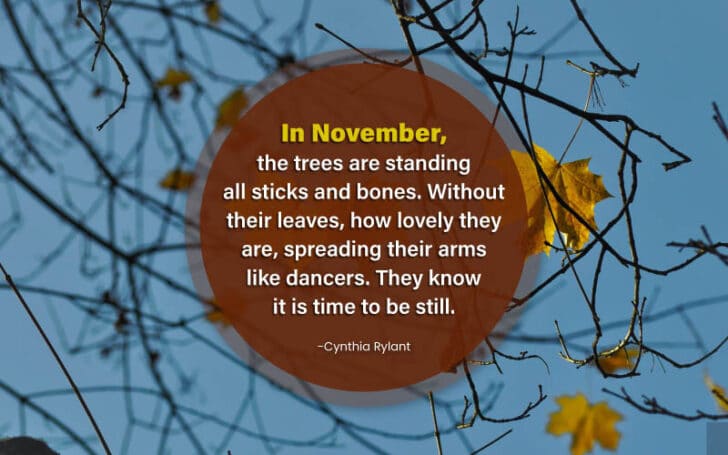 November Quotes