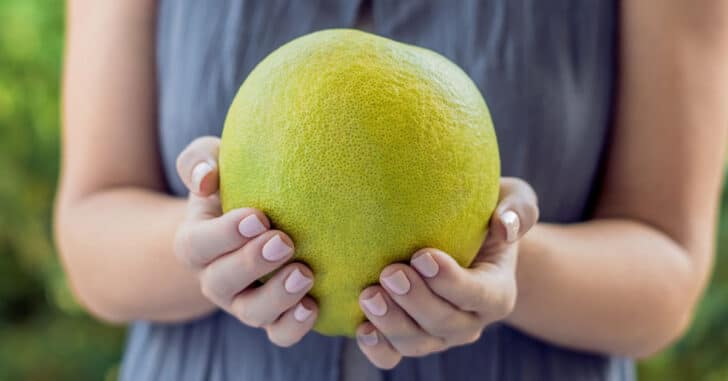 Pomelo Fruit