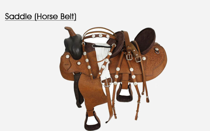 Types of Belts