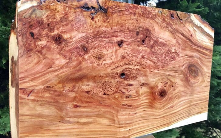 Burl Wood