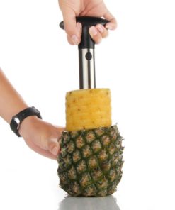 Stainless Steel Fruit Pineapple Corer Slicer