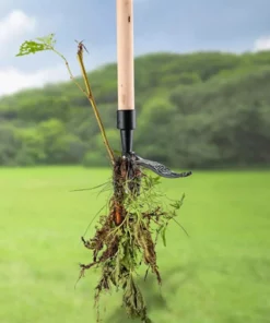 Weed Puller Tool