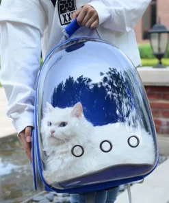 Cute Clear Cat Backpack Carrier