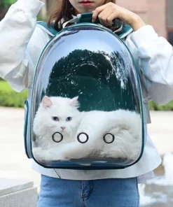 Cute Clear Cat Backpack Carrier