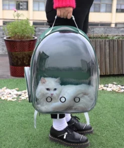 Cute Clear Cat Backpack Carrier