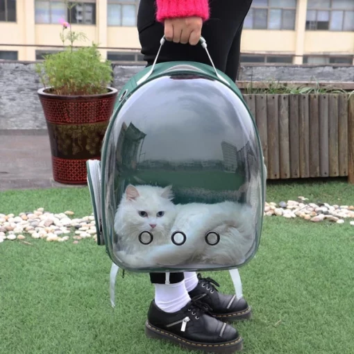 Cute Clear Cat Backpack Carrier