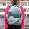 Cute Clear Cat Backpack Carrier