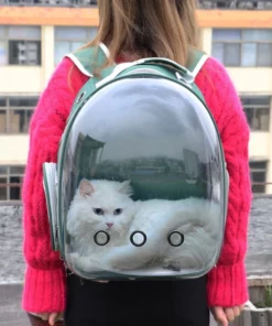 Cute Clear Cat Backpack Carrier