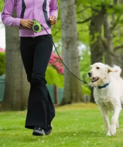 Long Retractable Dog Leash