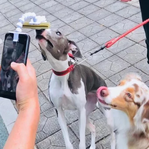 BriteDoggie Pet Selfie Stick