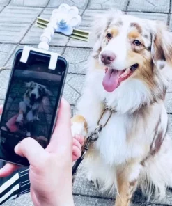 BriteDoggie Pet Selfie Stick