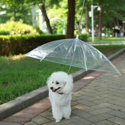 Rainproof Umbrella Dog Leash For Small Dogs