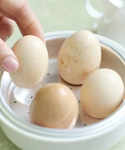 Chicken Egg Cooker For Microwave