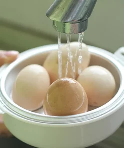 Chicken Egg Cooker For Microwave