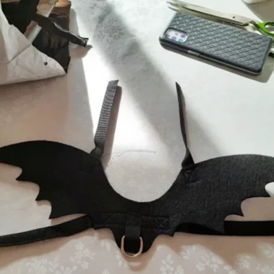 Black Cat Bat Wings