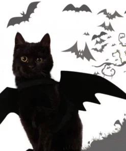 Black Cat Bat Wings