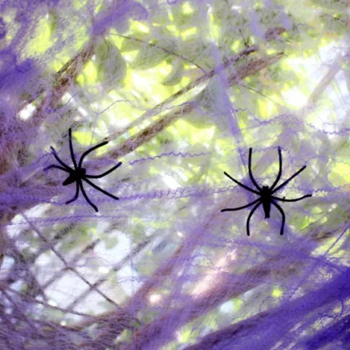 Spooky Halloween Spider Web Décor