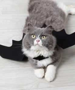 Black Cat Bat Wings