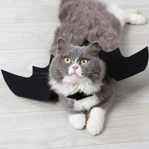 Black Cat Bat Wings