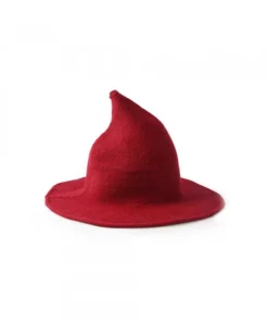 Wide Brim Modern Witch Hat