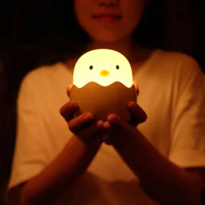 LED Egg Light