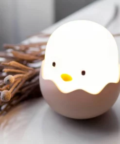 LED Egg Light