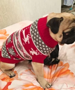 Adorable Dog Reindeer Costume For Christmas