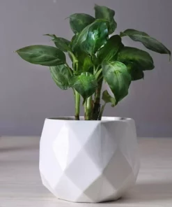 Ceramic Diamond Planter For Indoor Plants