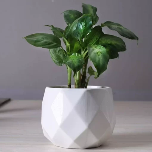 Ceramic Diamond Planter For Indoor Plants