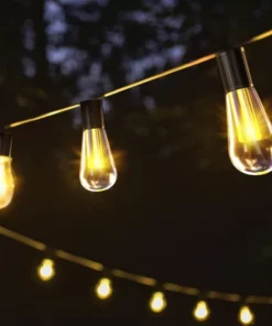 Vintage Edison Bulbs