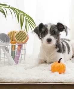 Pumpkin Brush Pet Deshedder