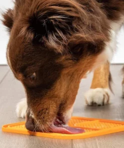 Silicone Pet Licking Pad