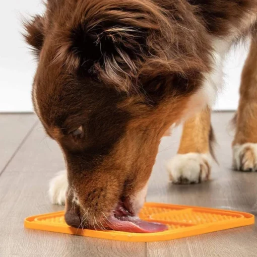 Silicone Pet Licking Pad