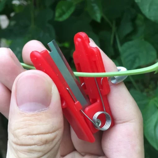 Multi-Use Thumb Knife For Fruits & Vegetable Harvesting