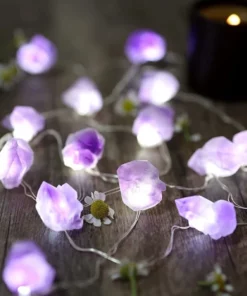 Amethyst Or Fluorite Raw Crystal String Lights