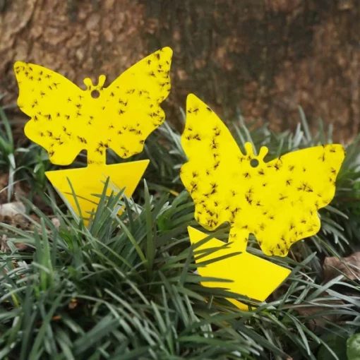 Dual-Sided Sticky insect Trap