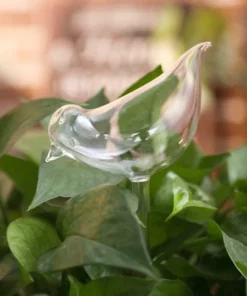 Self-Watering Plant Glass Bird Bulbs