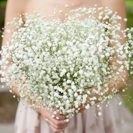 Realistic Gypsophila Bouquets for DIY Home Decor, Weddings & More (3 Bunches)