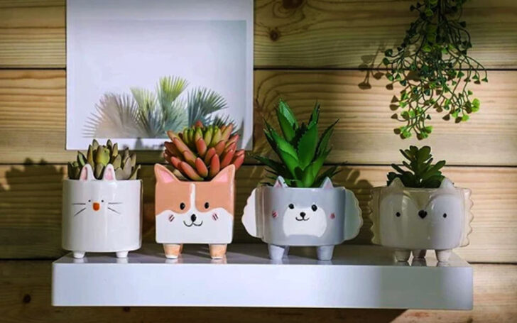 Unique Planters