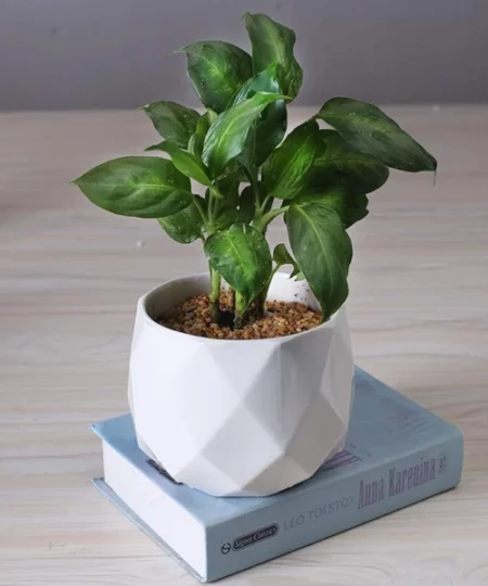 Ceramic Diamond Planter For Indoor Plants