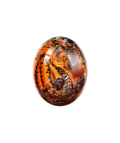 Lava Dragon Egg-Perfect